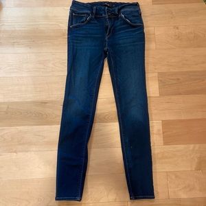 Hudson Collin Skinny Mid-Rise Jeans, Size 29